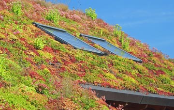Sykes living roof systems